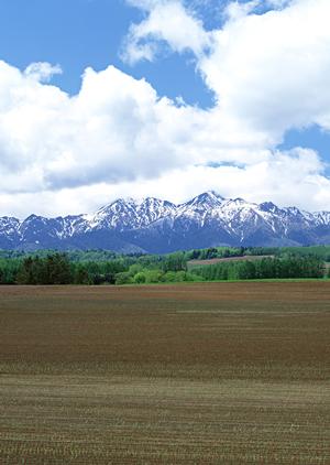 長い歴史を持つお寺の永代供養墓