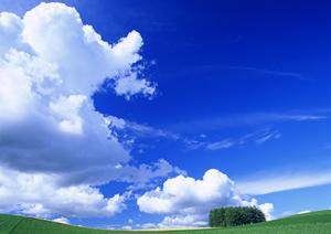 静岡県藤枝市の家族葬専門斎場「家族葬のタクセル岡出山」：安心と信頼の新しい葬儀スタイル