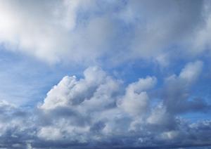 海が好きだった故人のための海洋散骨