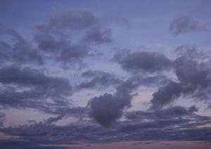 静岡市の安心で信頼の葬儀サービス?富士葬祭清水の特徴とご案内